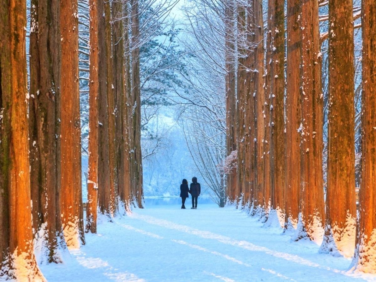 7 Tips Liburan ke Korea Saat Winter agar Tetap Nyaman
