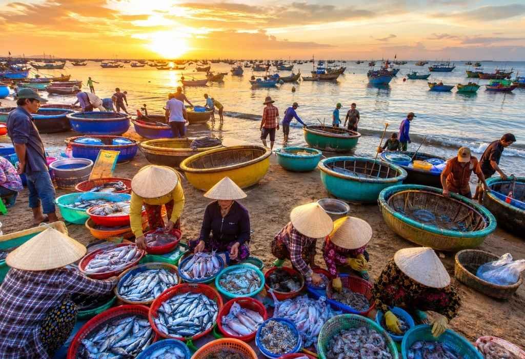 6 Aktivitas Seru di Mui Ne Vietnam: Pantai & Bukit Pasir